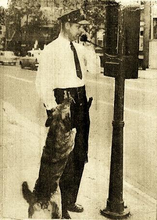 Patrolman_Lance_Wolfe_call_box.jpg