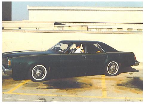 Marion Wiczulis 1982 2