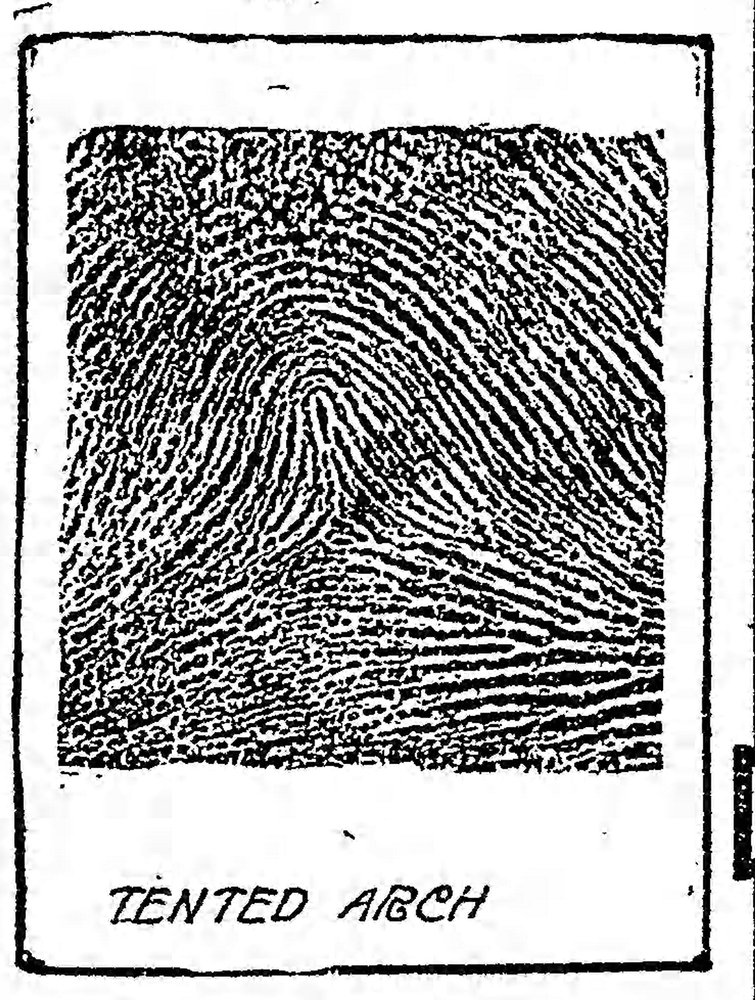 The Baltimore Sun Sun Jan 28 1912 tented arch2