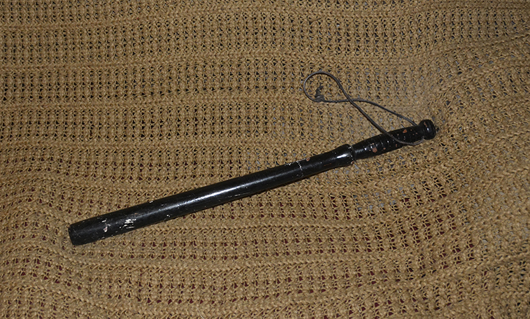  DSC5202