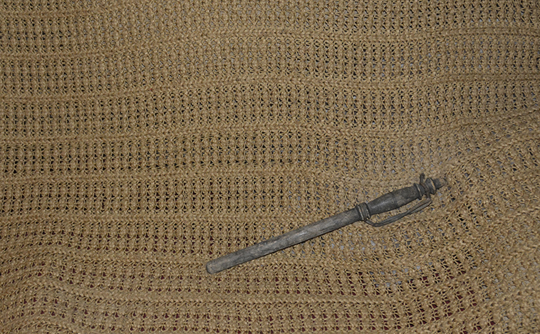  DSC5231
