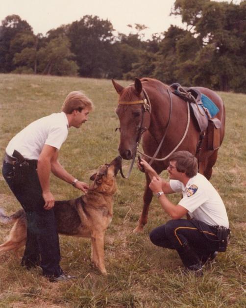 Bailey Reed Red Rocky 1982