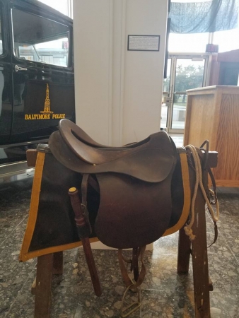 saddle